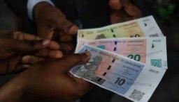 ZiG Currency Demand Set To Surge By June, Says RBZ Governor