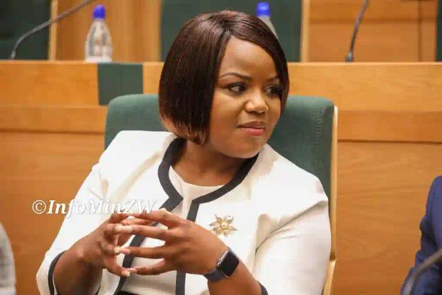 Fadzayi Mahere Fires Back At Coltart’s Claim She Surrendered Mt Pleasant To ZANU PF