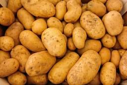 Zimbabwe Suspends Potato Imports From South Africa