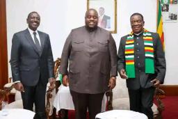 Mnangagwa’s Public Appearances With Chivayo Divides ZANU PF