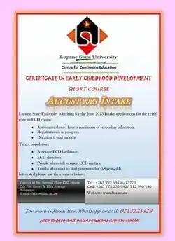 Certificate in ECD Facilitation & Management