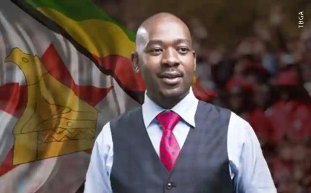 Chamisa Ranks Among The World's Greatest Minds, He Is Our Own Obama: Musekiwa