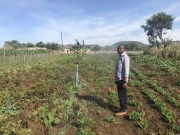 Chamisa Says Rural Transformation Is Key For Sustainable Development