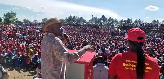 Chamisa's Sign Language Interpreter Collapses On Stage