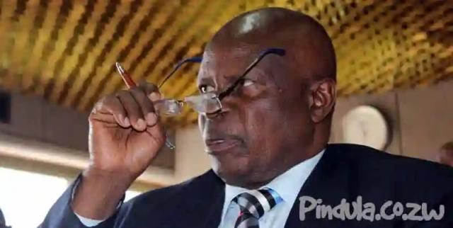 Chinamasa likens Moyo to a barking dog for criticising Command Agriculture