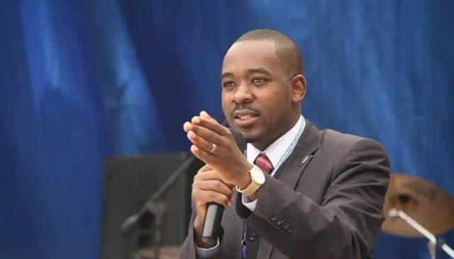 Create A 'Government Relief Fund' To Cater For COVID-19 Patients - Chamisa