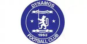 Dynamos Appoint Data Analyst