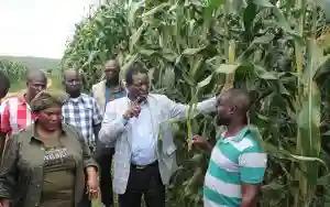 Government Sets Aside $20 Million For Command Agriculture