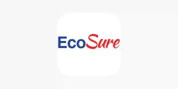Harare Man Fined US$400 For Defrauding Ecosure