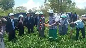 PICTURES: Chinese Delegation Visits ED Farm