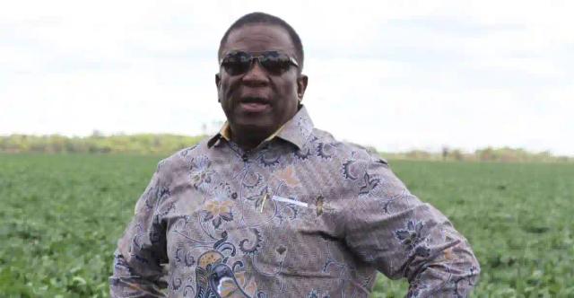 Police Officer Who Stole Solar Panels From Mnangagwa's Farm Denied Bail