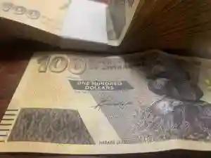 Some Businesses Reject Zimbabwe Dollar