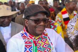Tshabangu’s Rise Makes Zimbabwe A Laughingstock, Says David Coltart