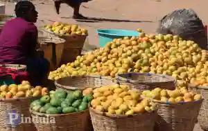 WATCH: Vendors, Touts Bemoan Chiwenga's Sudden Lockdown