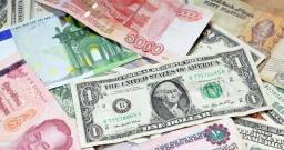 We Can't Adopt The US Dollar As The Sole Official currency - Ncube
