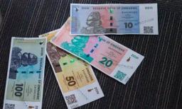 Zimbabwe Applies For ISO Code For ZiG Currency