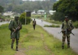 Zimbabwe Defence Forces Dismisses ZiG, Money Changers Claims