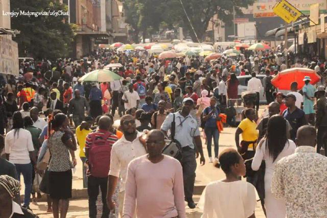 ZIMSTAT Says About 2.3 million Youths Not Employed, Not In School