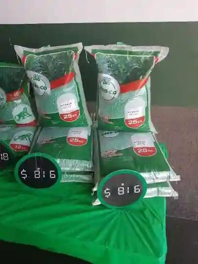 ZRP, SEEDCO In Joint Operation To Combat Selling Of Fake Maize Seed