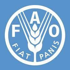 Food and Agriculture Organization (FAO)