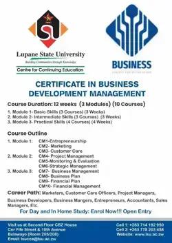 Business Development Management