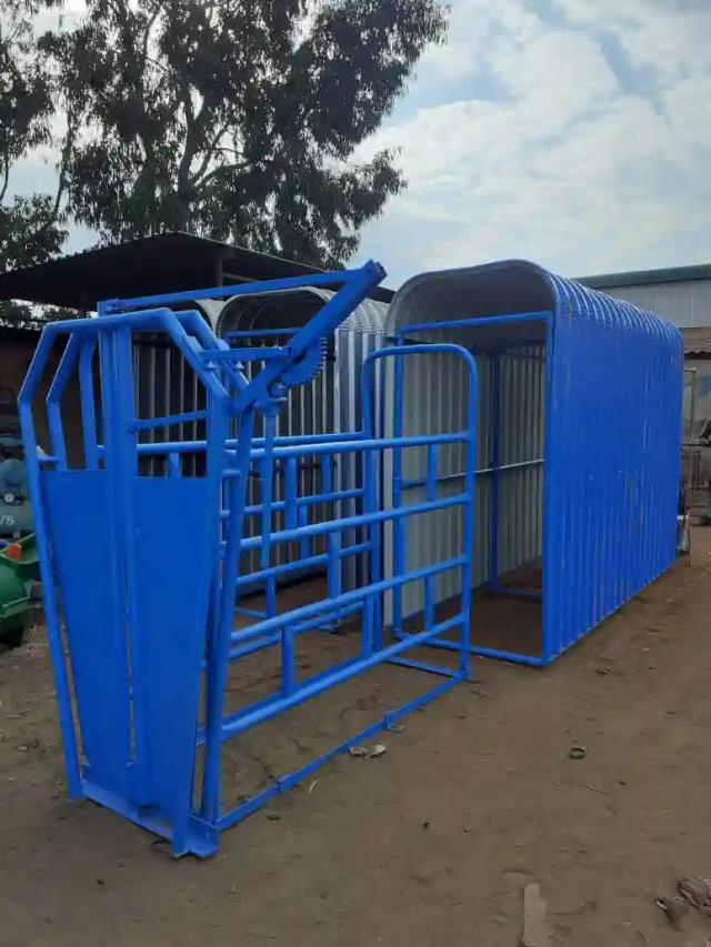 Cattle Handling Systems