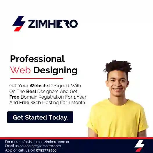 Professional web designing