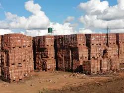 Quality CHINA bricks on wholesale price