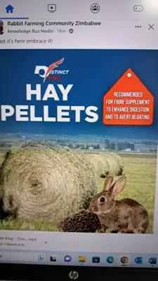Rabbit Hay Pellets 