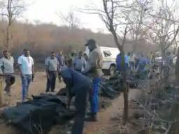 10 Farm Workers Die While Fighting Veld Fire In Esigodini