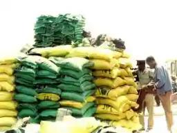 140 Bags Of Fertiliser Stolen Before Distribution To Lupane Villagers