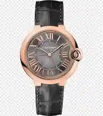 2 Bulawayo Thieves Steal A US$20 000 Watch & Sell It For ZWL $30 - Report