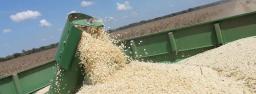 38 000 Tonnes Of Grain Stuck At Beitbridge Border Post