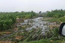 399 Megalitres Of Raw Sewage Flow Into Lake Chivero Daily - EMA