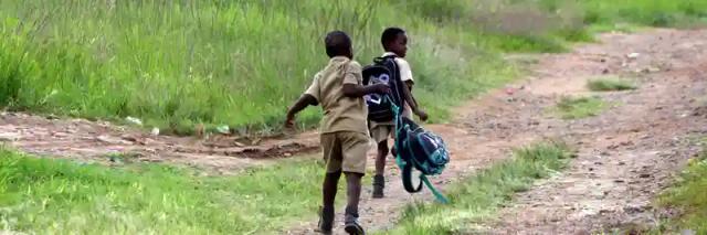 42 percent of children in rural areas not going to school : ZimVAC report