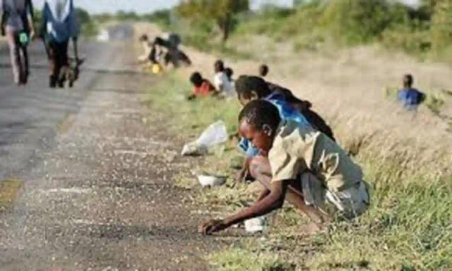 5.5 Million Rural People Face Hunger - Zimbabwe Vulnerability Assessment Committee