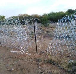 AfriForum To Patrol Zimbabwe Border With Sniffer Dogs