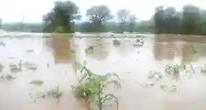 BINGA: 181 Homes Damaged By Floods