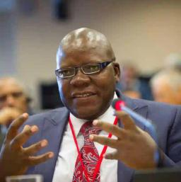 Biti Urges Manyeruke To Resign From Motlanthe Commission