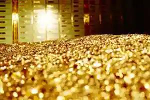 Buyanga Engages Mangudya To Create Gold-based Currency For Zim