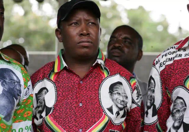 "By Our Standards, Malema Is A Puny," - ZANU PF Youths Respond To Comments On Human Rights Abuses In Zimbabwe