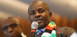 By Simply Carrying Out Your Duty, You Can Be Termed An Enemy Of The State - Mliswa