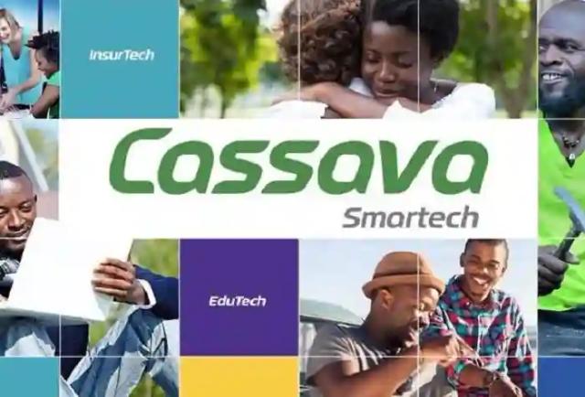 Cassava Smartech Zimbabwe Limited Rebrands To EcoCash Holdings Zimbabwe Limited