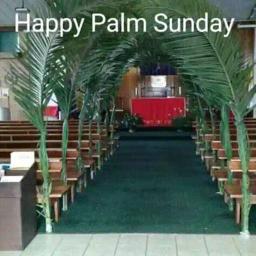 Catholics and Protestants Celebrate Palm Sunday