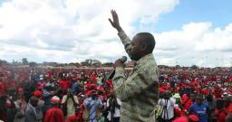 Chamisa In "Meet The Structures" Interface