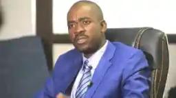 Chamisa Orders Masvingo Mayor To Resign, Or Face Expulsion