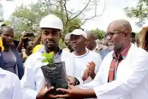 Chamisa Plants 'New Democracy Tree' In Norton, Calls For Preservation Of Trees