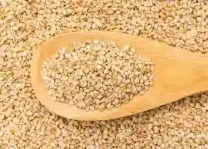 Chipinge Farmers Smuggle Sesame Seed For Hard Currency