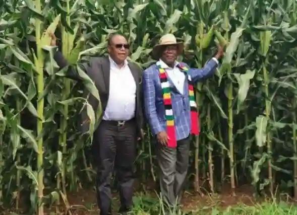 Chiwenga In No Show At ED's Field Day Where He Was The Guest Of Honour- Report
