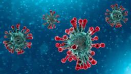 Chloroquine Among The Drugs Being Tested To Treat Coronavirus